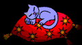 Cats :: Fauna
