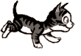 Cats :: Fauna