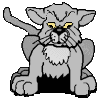 Cats :: Fauna