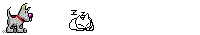 Cats :: Fauna