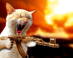 Cats :: Fauna