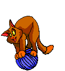 Cats :: Fauna