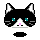 Cats :: Fauna