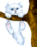 Cats :: Fauna