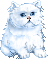 Cats :: Fauna