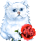Cats :: Fauna