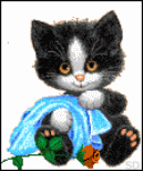 Cats :: Fauna