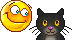 Cats :: Fauna