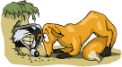 Dogs :: Fauna