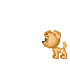 Dogs :: Fauna