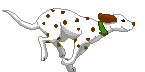 Dogs :: Fauna