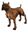 Dogs :: Fauna