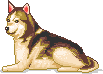 Dogs :: Fauna