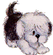 Dogs :: Fauna