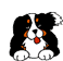 Dogs :: Fauna