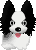 Dogs :: Fauna