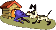 Dogs :: Fauna