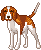 Dogs :: Fauna