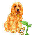 Dogs :: Fauna