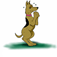 Dogs :: Fauna