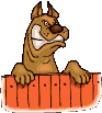 Dogs :: Fauna