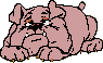 Dogs :: Fauna
