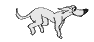 Dogs :: Fauna