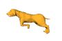 Dogs :: Fauna