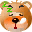 Bears