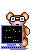 Bears