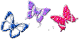 Butterflies