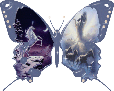 Butterflies