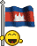 Smilies with flags