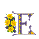 The letters and signs