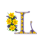 The letters and signs