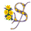The letters and signs