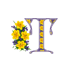 The letters and signs