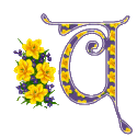 The letters and signs