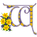 The letters and signs