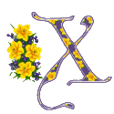 The letters and signs