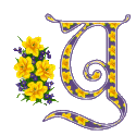 The letters and signs