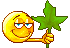 Weather