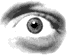 Eyes