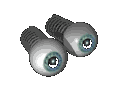 Eyes