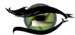 Eyes